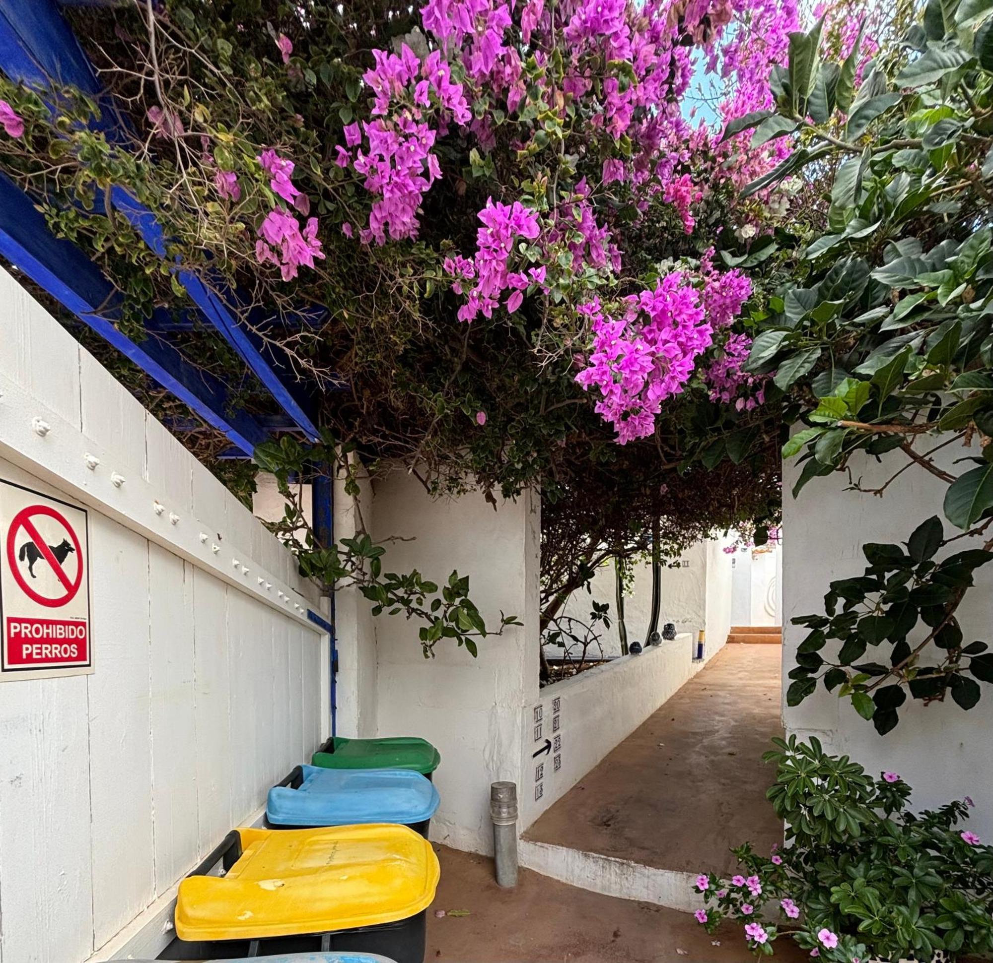 Apartamentos Y Habitaciones Villa Marina La Caleta  Exterior foto